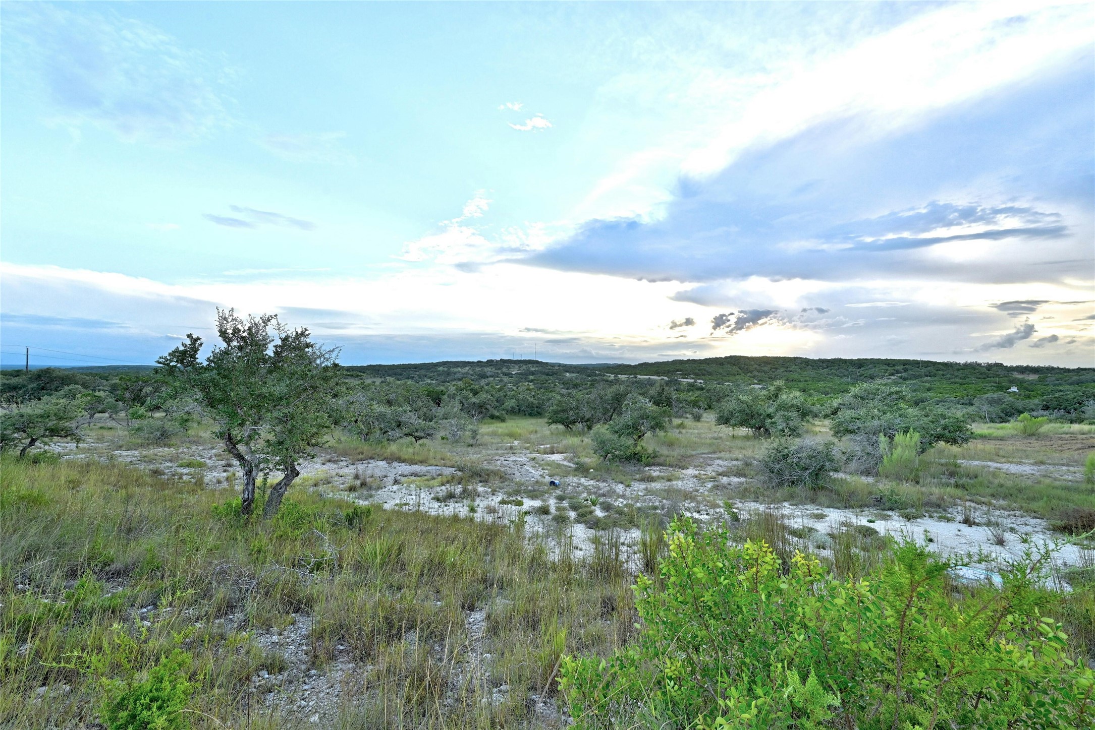 8019 Mt Sharp Road Wimberley, TX 78676 - Photo 12 of 14 a view of a bunch of trees and bushes