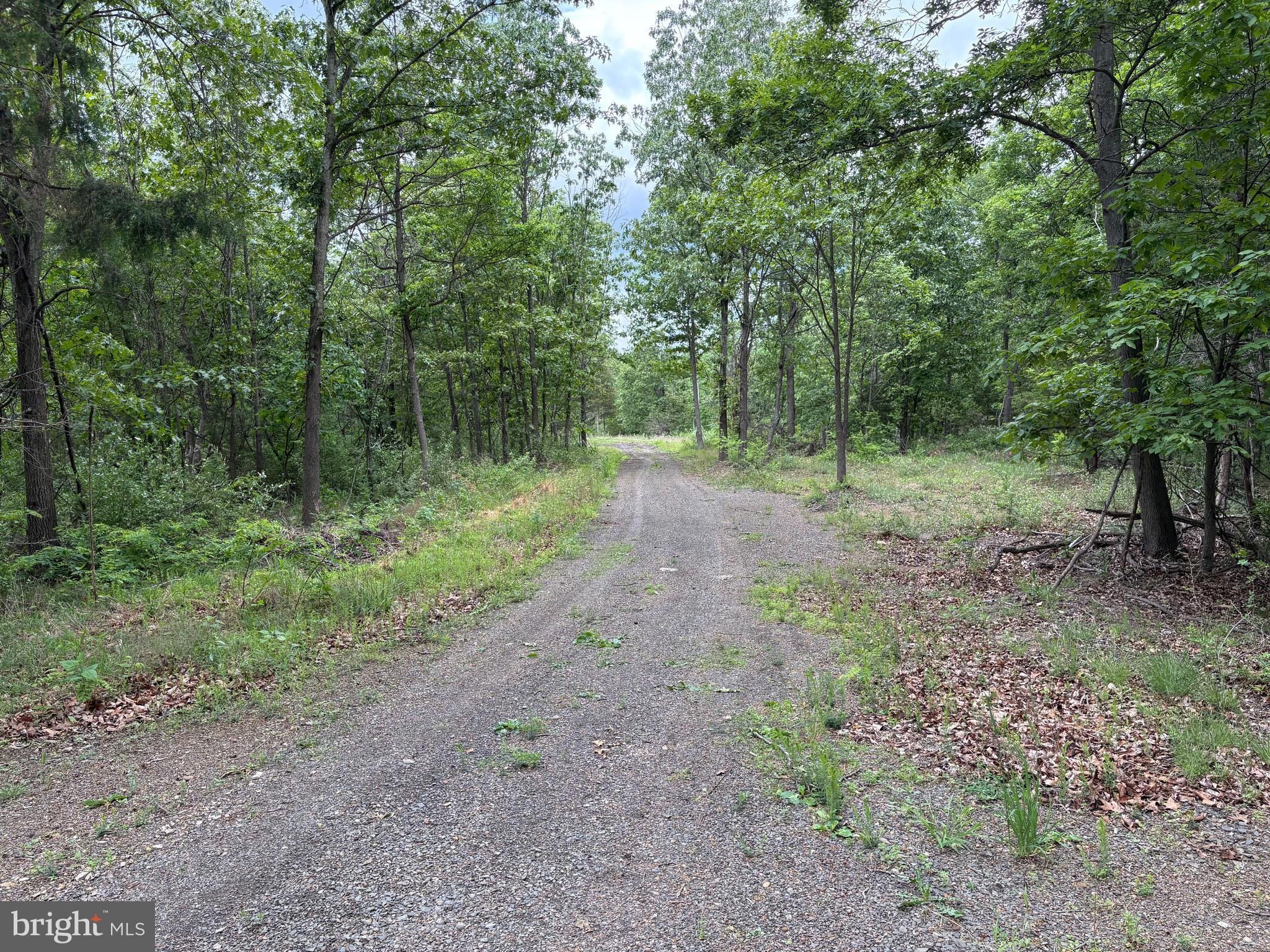 40.15-ac Middle Ridge Road Burlington, WV 26710 - Photo 6 of 47