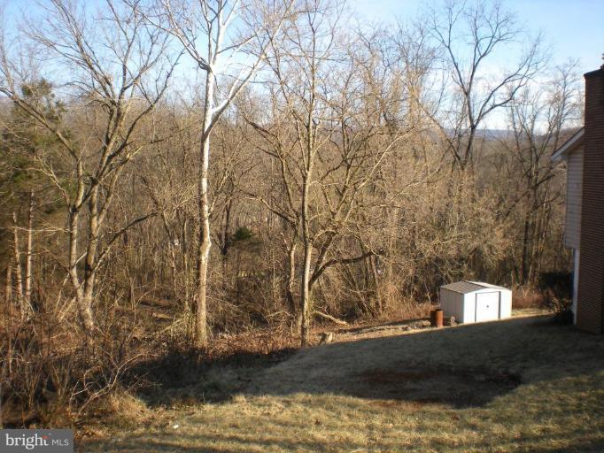 246 Sugar Maple Road Front Royal, VA 22630 - Photo 12 of 12 Unique #1