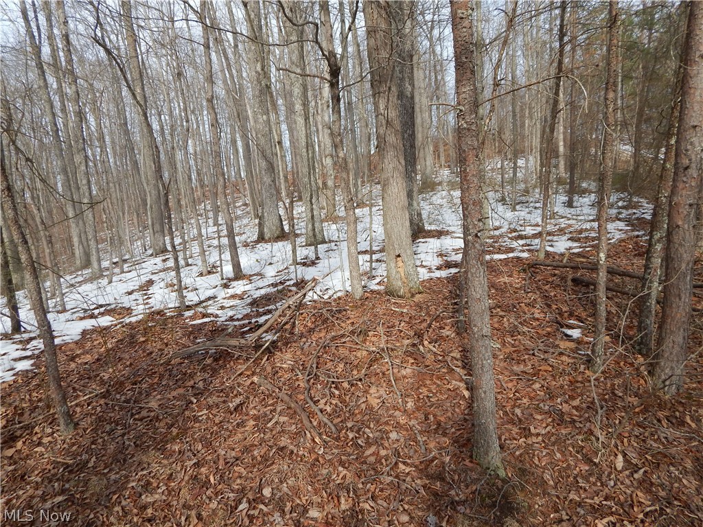 Fingerboard Road Big Springs, WV 26137 - Photo 10 of 21
