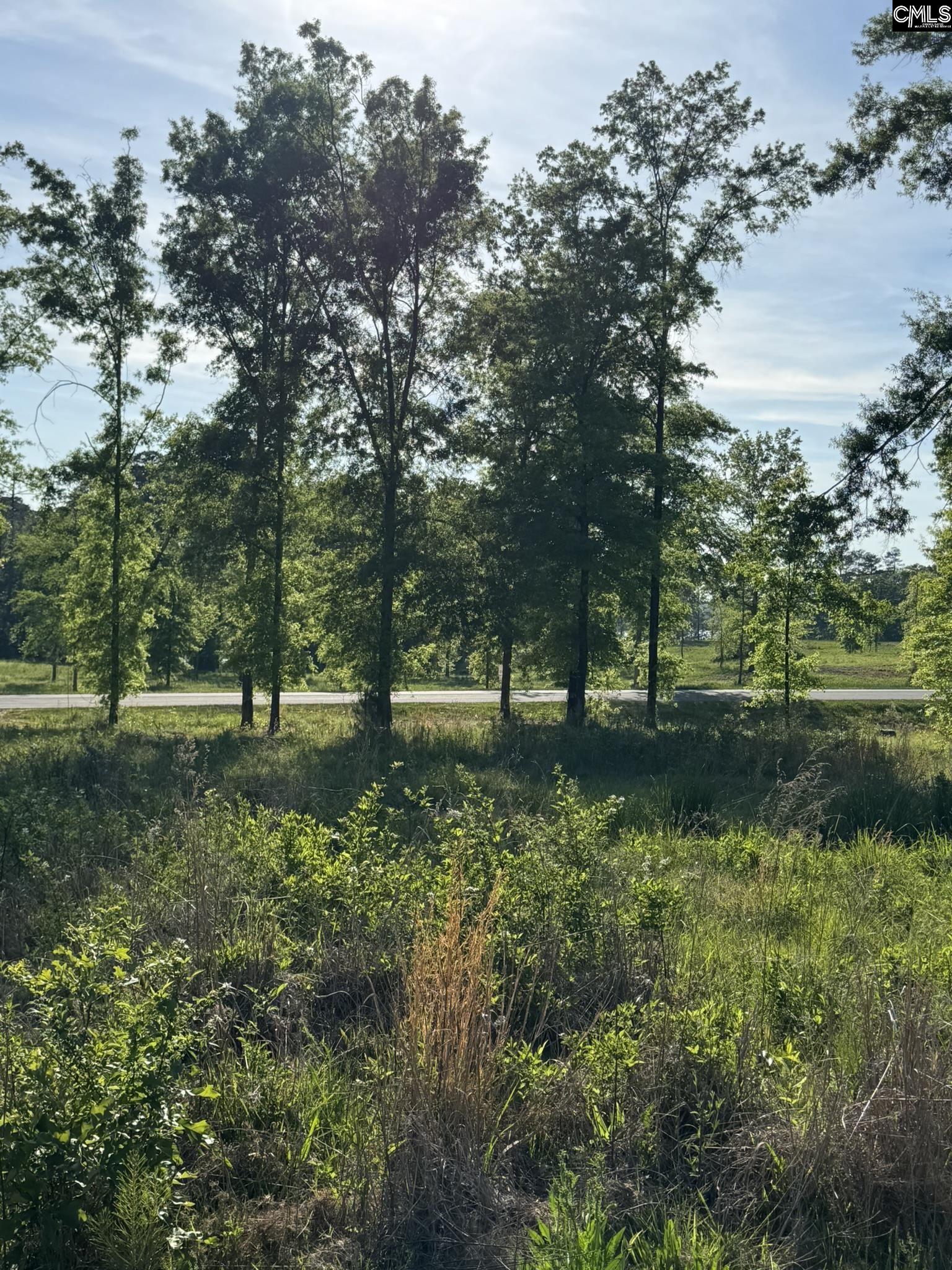 238 Navigator Trail Prosperity, SC 29127 - Photo 12 of 22