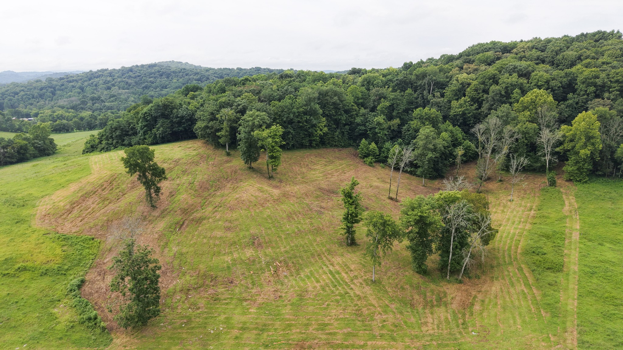 0 Barrett Road Watertown, TN 37184 - Photo 18 of 40 Gallery Image 18