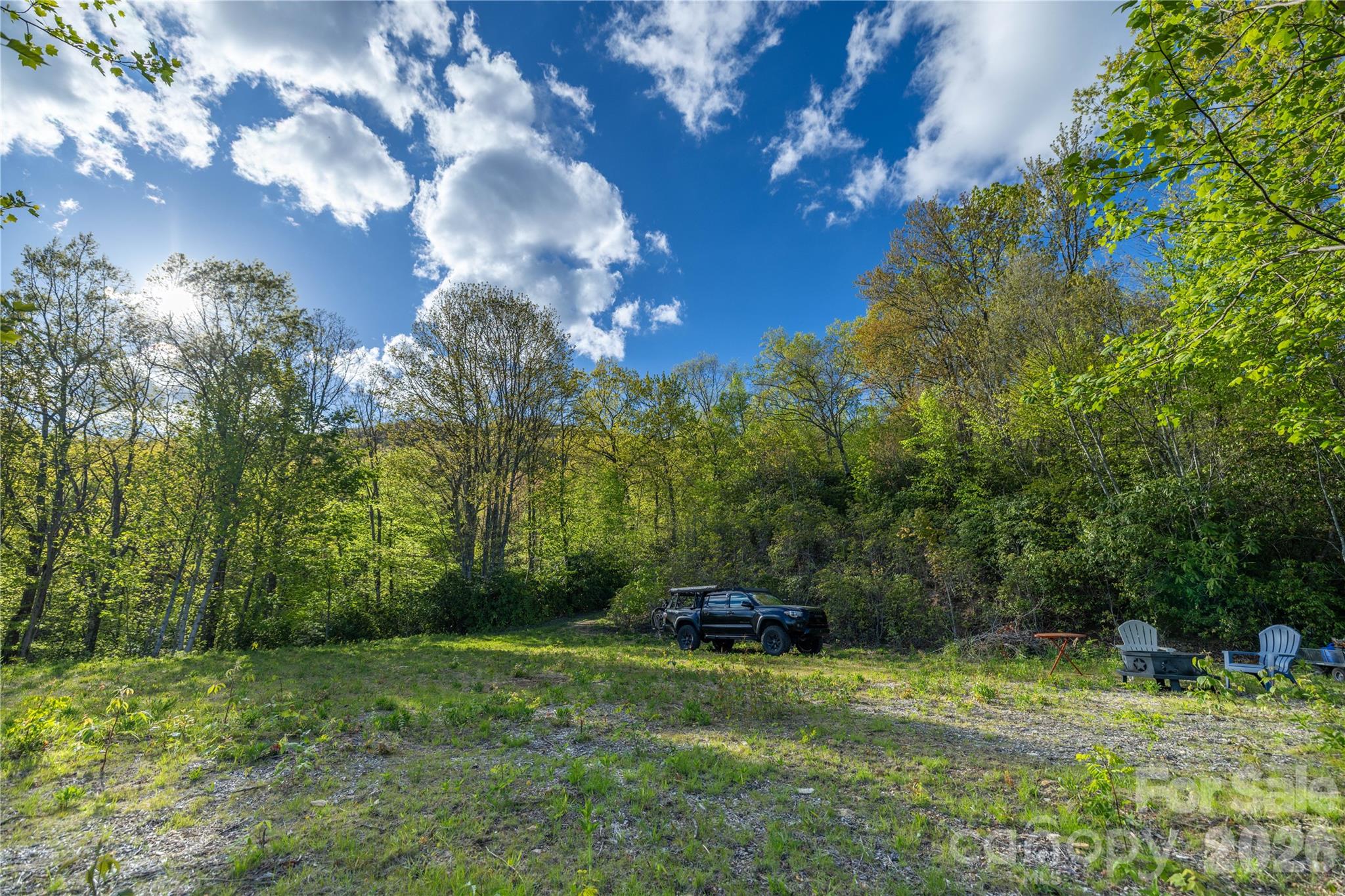 3409 Parris Branch Road Sylva, NC 28779 - Photo 10 of 19