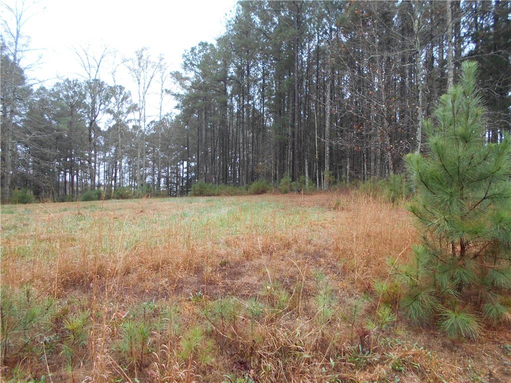 7-ac Youth Jersey Road Covington, GA 30014 - Photo 11 of 34 a view of a yard with a tree