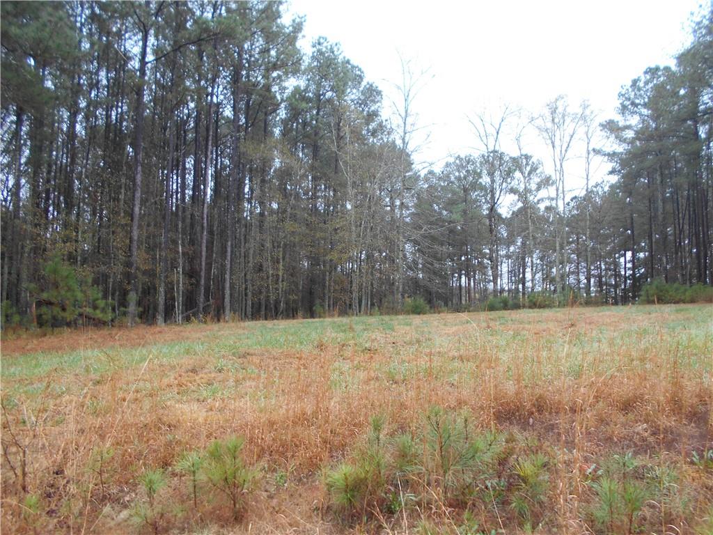 7-ac Youth Jersey Road Covington, GA 30014 - Photo 12 of 34 a view of a field with trees in the background