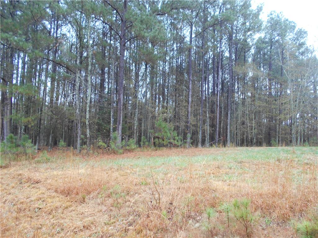7-ac Youth Jersey Road Covington, GA 30014 - Photo 13 of 34 a view of outdoor space with trees