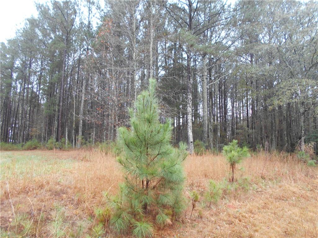 7-ac Youth Jersey Road Covington, GA 30014 - Photo 14 of 34 a backyard of a house with lots of green space