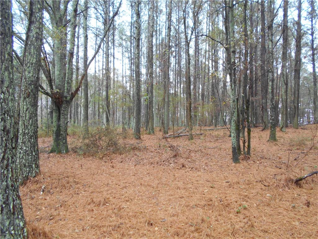 7-ac Youth Jersey Road Covington, GA 30014 - Photo 15 of 34 a backyard of a house with lots of trees