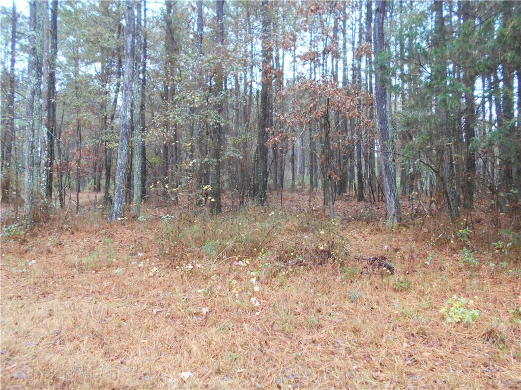 7-ac Youth Jersey Road Covington, GA 30014 - Photo 16 of 34 a view of backyard with trees