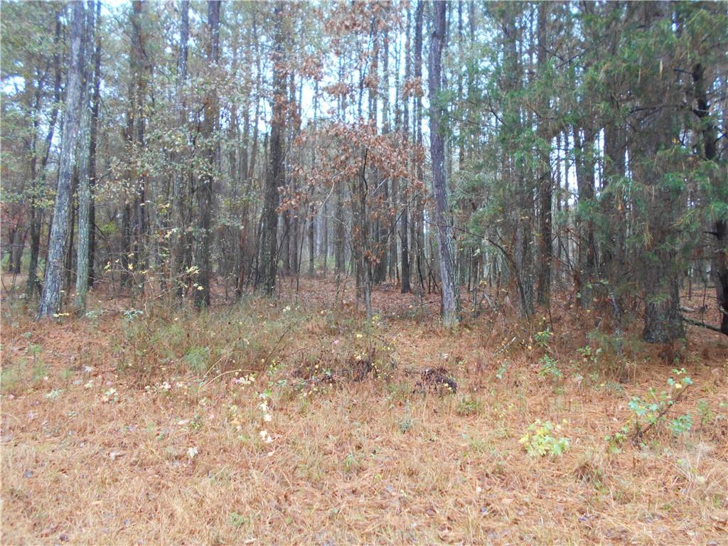 7-ac Youth Jersey Road Covington, GA 30014 - Photo 18 of 34 a view of backyard with trees