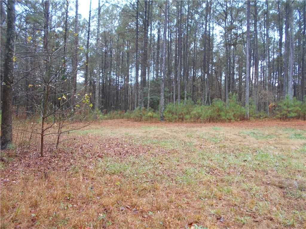 7-ac Youth Jersey Road Covington, GA 30014 - Photo 19 of 34 a backyard of a house with lots of green space