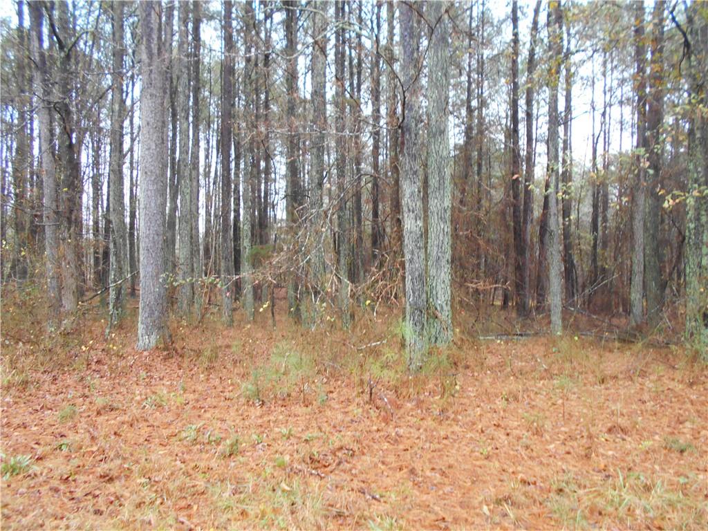 7-ac Youth Jersey Road Covington, GA 30014 - Photo 20 of 34 a view of room with trees