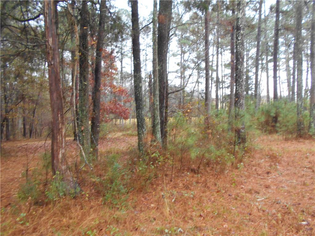 7-ac Youth Jersey Road Covington, GA 30014 - Photo 21 of 34 a view of a forest with trees in the background