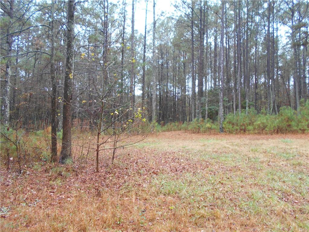 7-ac Youth Jersey Road Covington, GA 30014 - Photo 22 of 34 a backyard of a house with lots of green space