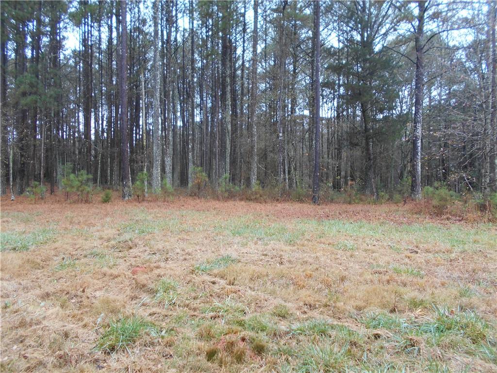 7-ac Youth Jersey Road Covington, GA 30014 - Photo 23 of 34 a view of outdoor space with wooden fence