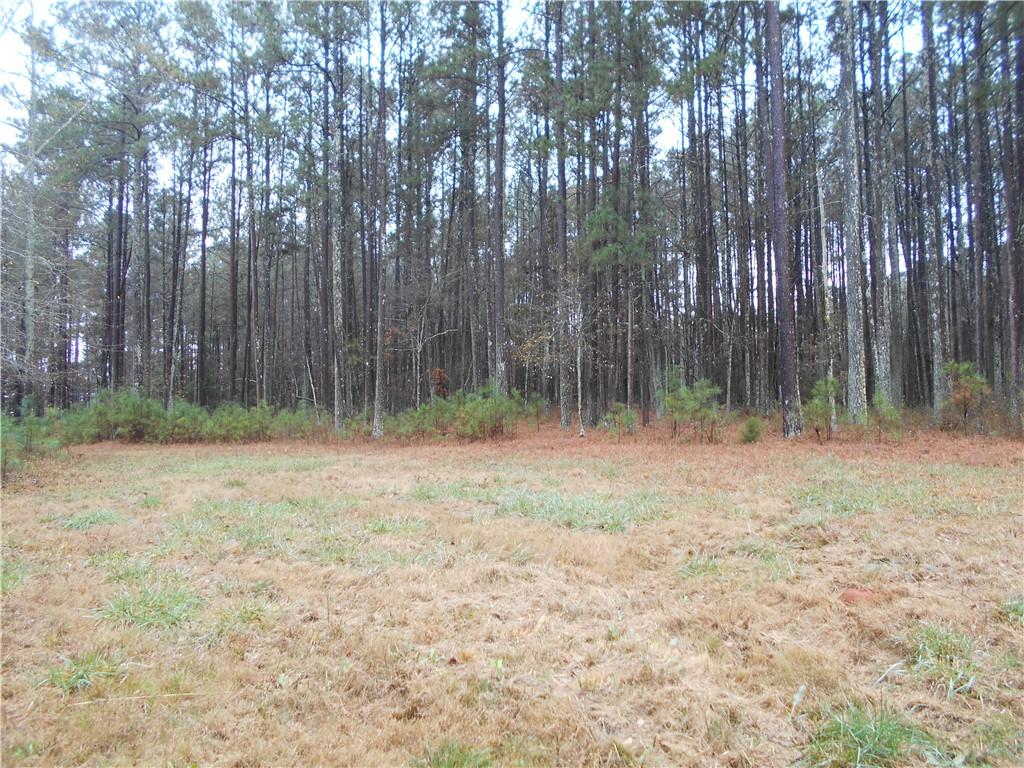7-ac Youth Jersey Road Covington, GA 30014 - Photo 24 of 34 a backyard of a house with large trees and wooden fence