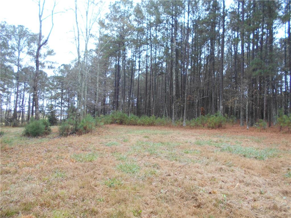 7-ac Youth Jersey Road Covington, GA 30014 - Photo 25 of 34 a view of a yard with large trees
