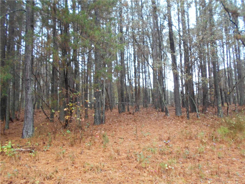 7-ac Youth Jersey Road Covington, GA 30014 - Photo 26 of 34 a backyard of a house with lots of trees