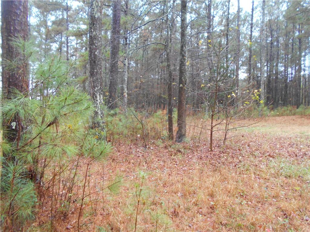 7-ac Youth Jersey Road Covington, GA 30014 - Photo 27 of 34 a view of a yard with plants and trees