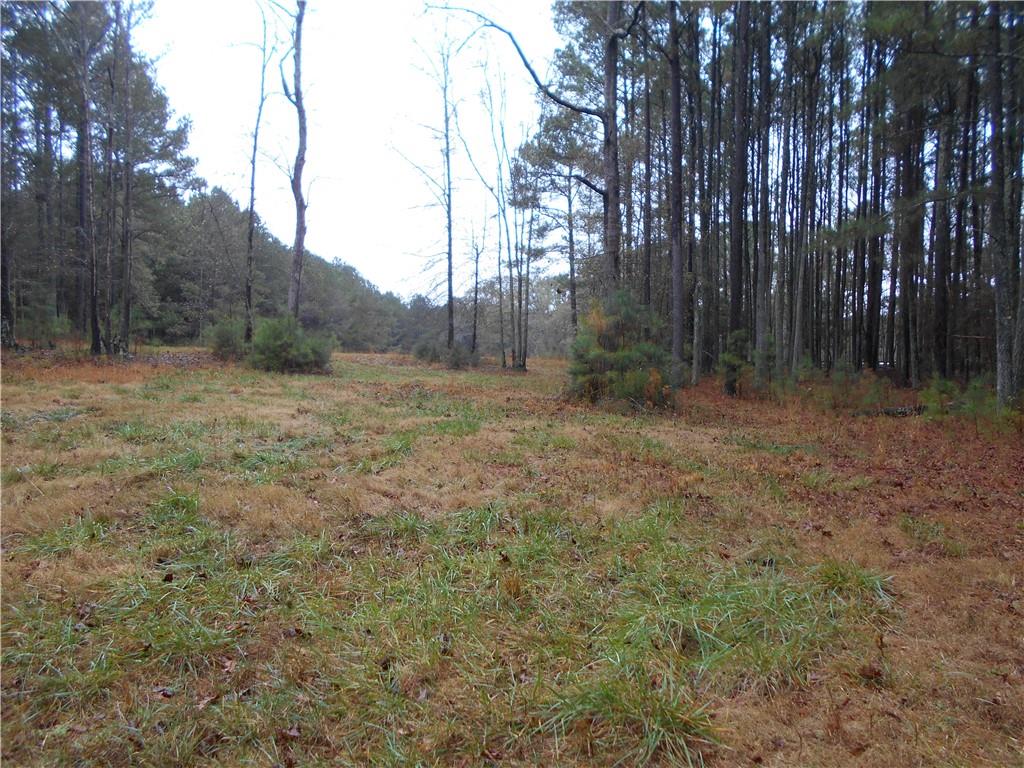 7-ac Youth Jersey Road Covington, GA 30014 - Photo 28 of 34 a view of an outdoor space with trees