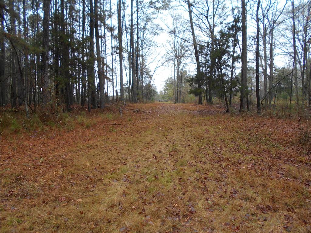 7-ac Youth Jersey Road Covington, GA 30014 - Photo 29 of 34 a view of dirt yard with trees