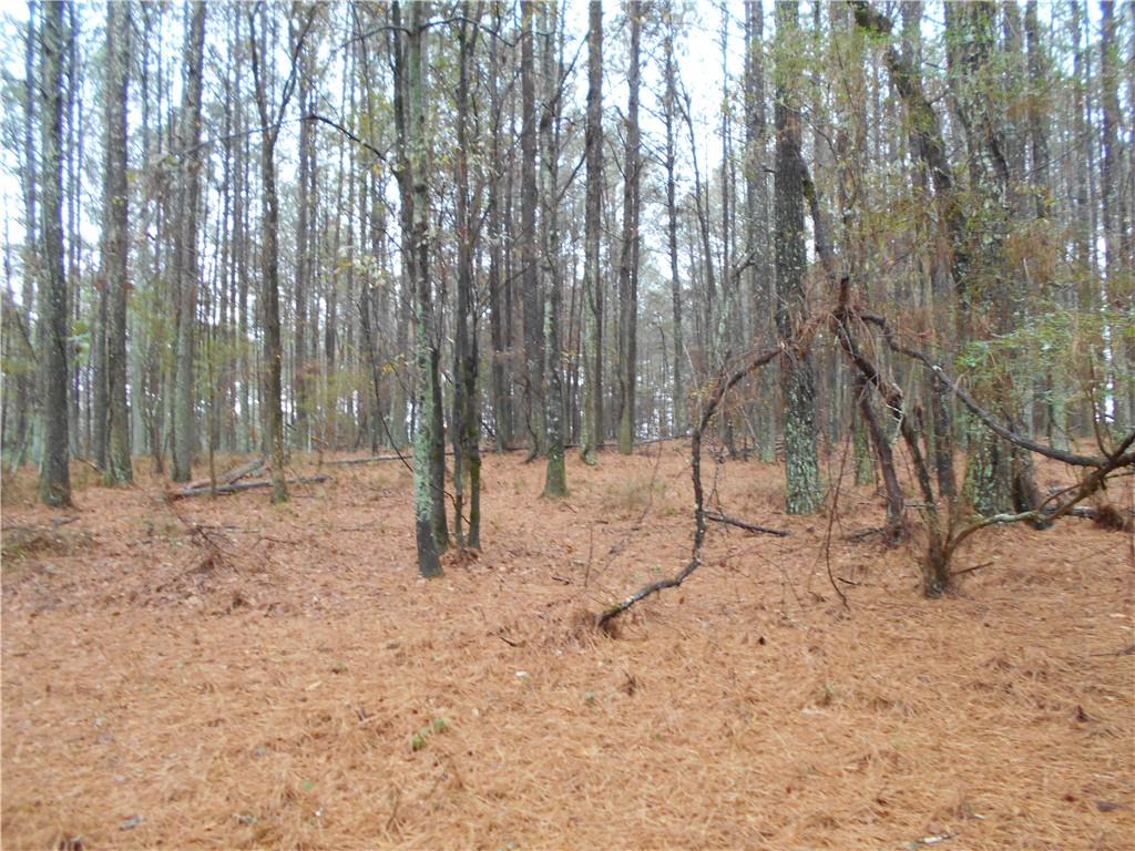 7-ac Youth Jersey Road Covington, GA 30014 - Photo 9 of 34 a backyard of a house with lots of green space and trees
