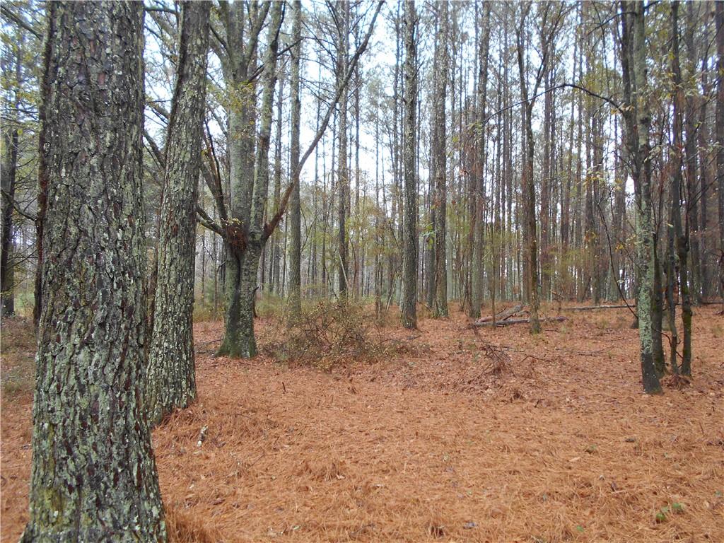 7-ac Youth Jersey Road Covington, GA 30014 - Photo 10 of 34 a backyard of a house with lots of trees