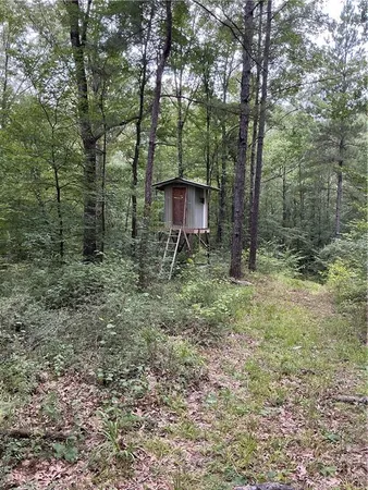 $560,000 | 344 Gr Bardwell Road, Lena, LA 71447