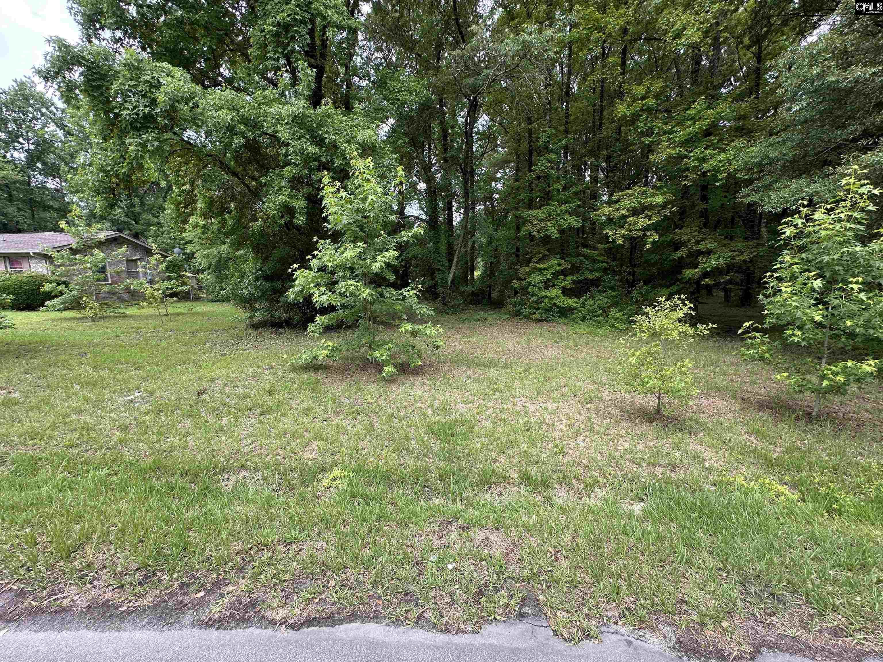 2704 Granite Hill Road Cayce, SC 29033 - Photo 1 of 1
