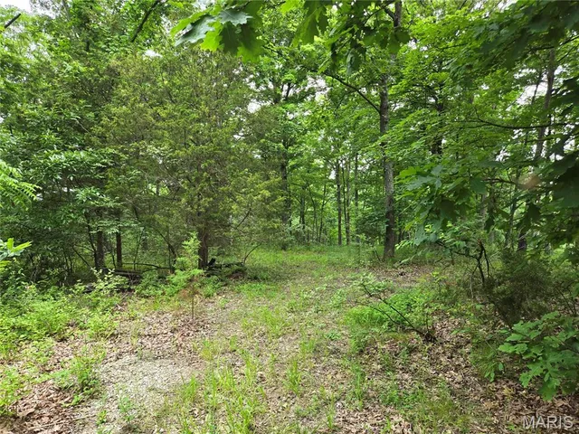 $80,000 | 0 Mark Peterson Drive, Wright City, MO 63390