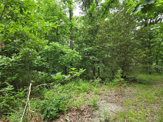 $80,000 | 0 Mark Peterson Drive, Wright City, MO 63390