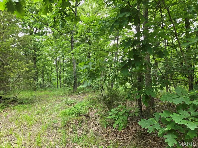 $80,000 | 0 Mark Peterson Drive, Wright City, MO 63390