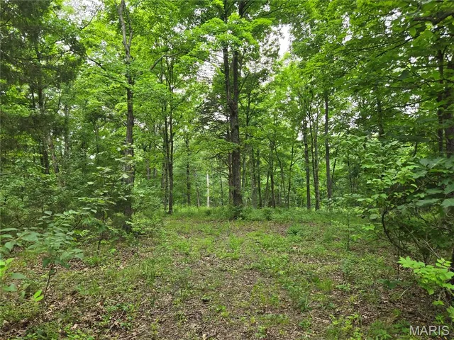 $80,000 | 0 Mark Peterson Drive, Wright City, MO 63390