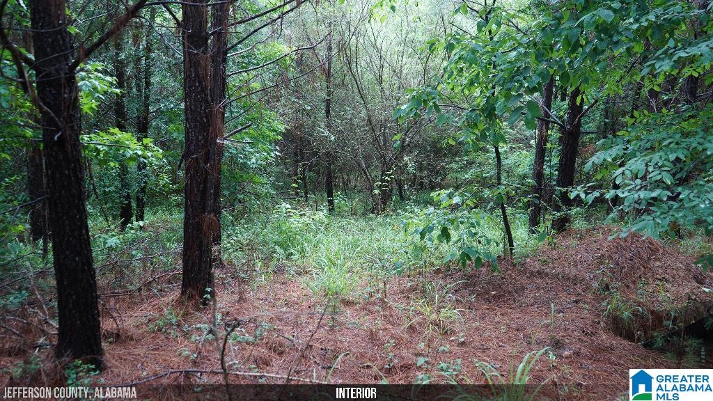 9289 Johns Road Brookwood, AL 35444 - Photo 30 of 38