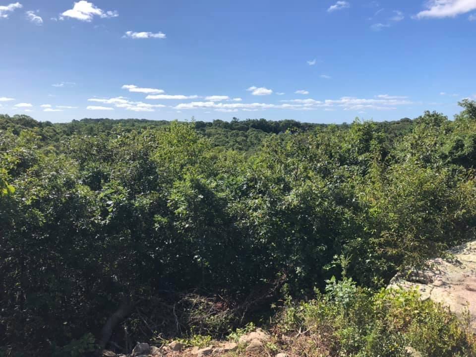 67 Blacksmith Shop Road Falmouth, MA 02540 - Photo 17 of 38 IMG-2402