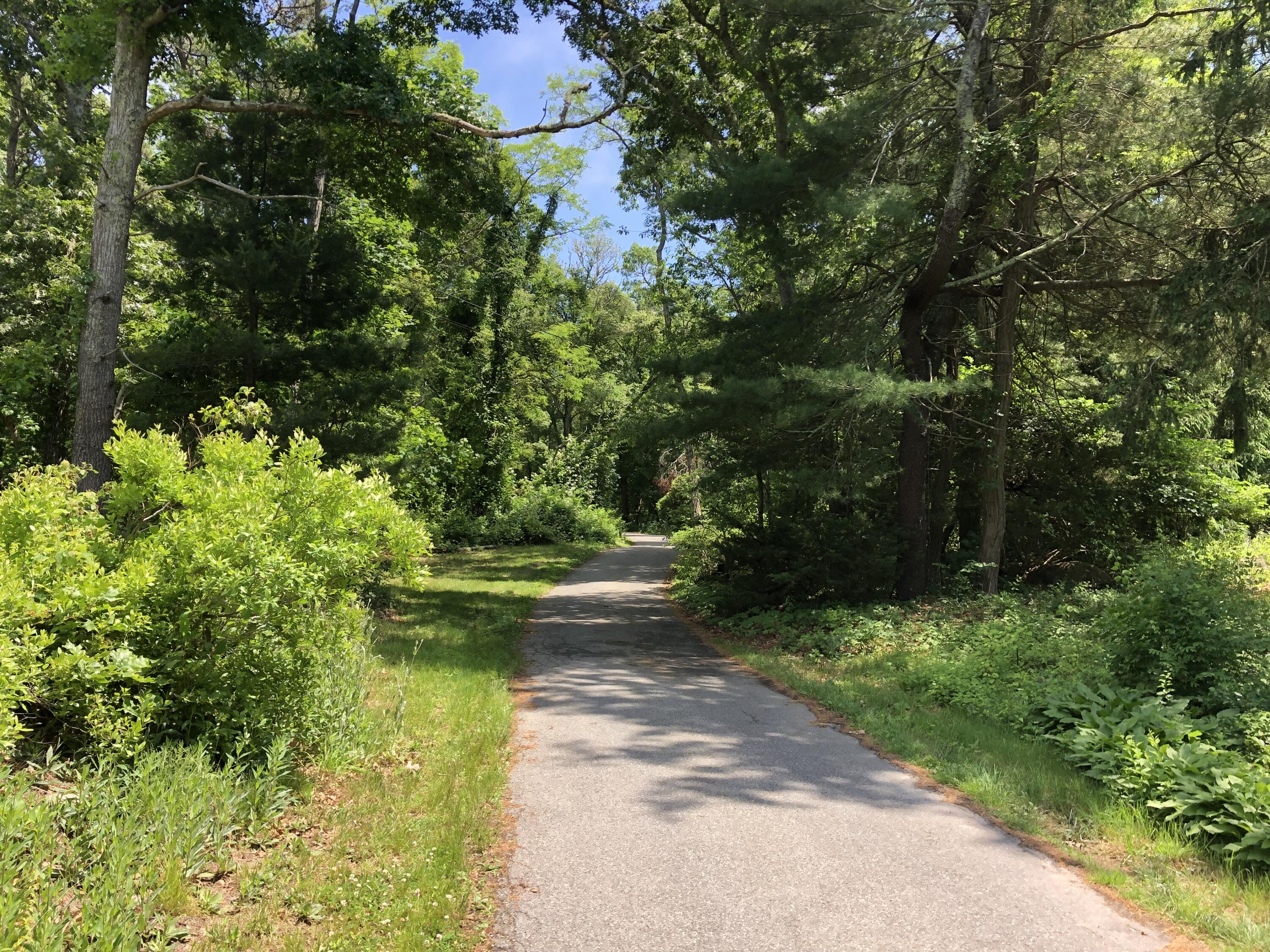 67 Blacksmith Shop Road Falmouth, MA 02540 - Photo 31 of 38 IMG-3126