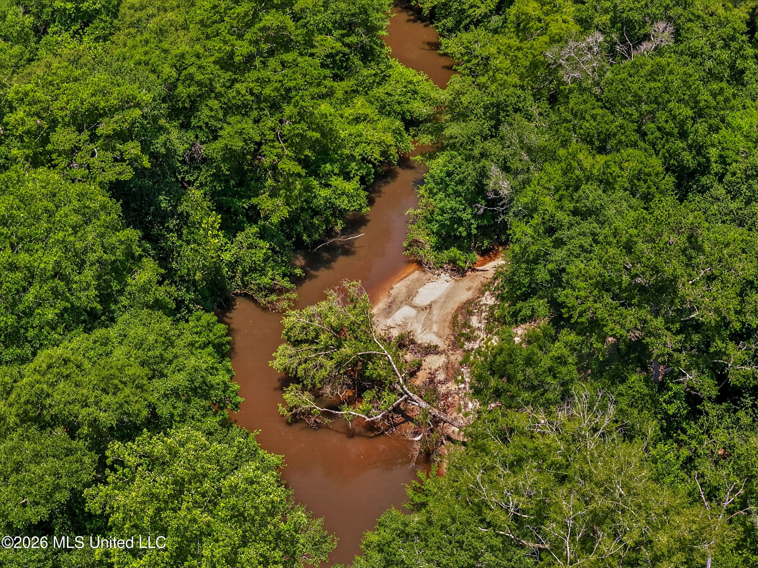 78 Game Reserve Road Columbia, MS 39429 - Photo 72 of 83 78GamerReserveRd.-68