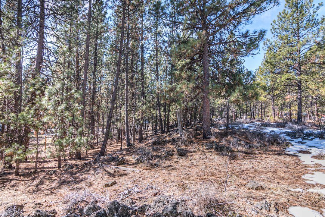 60042 Turquoise Road Bend, OR 97702 - Photo 8 of 11 8