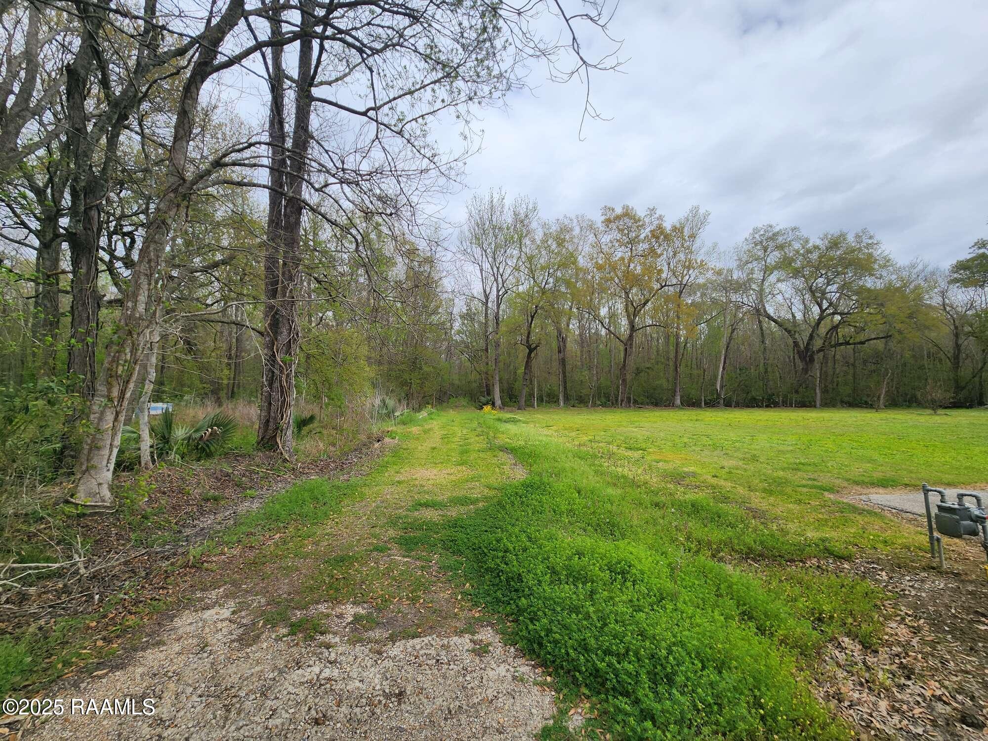 1165 Bayou Portage Road St. Martinville, LA 70582 - Photo 11 of 14 Compress_20250323_091222_2993