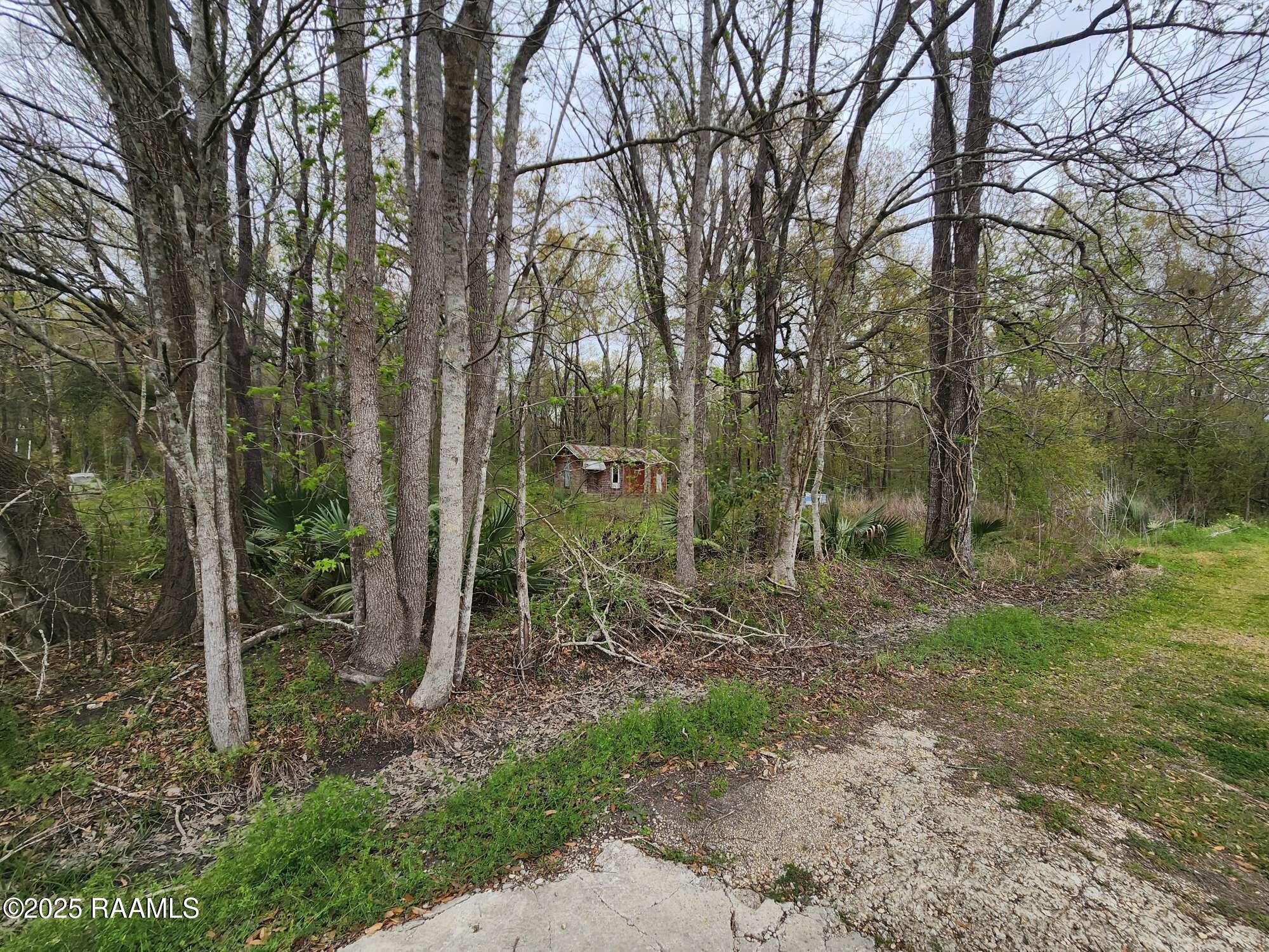 1165 Bayou Portage Road St. Martinville, LA 70582 - Photo 12 of 14 Compress_20250323_091223_3245