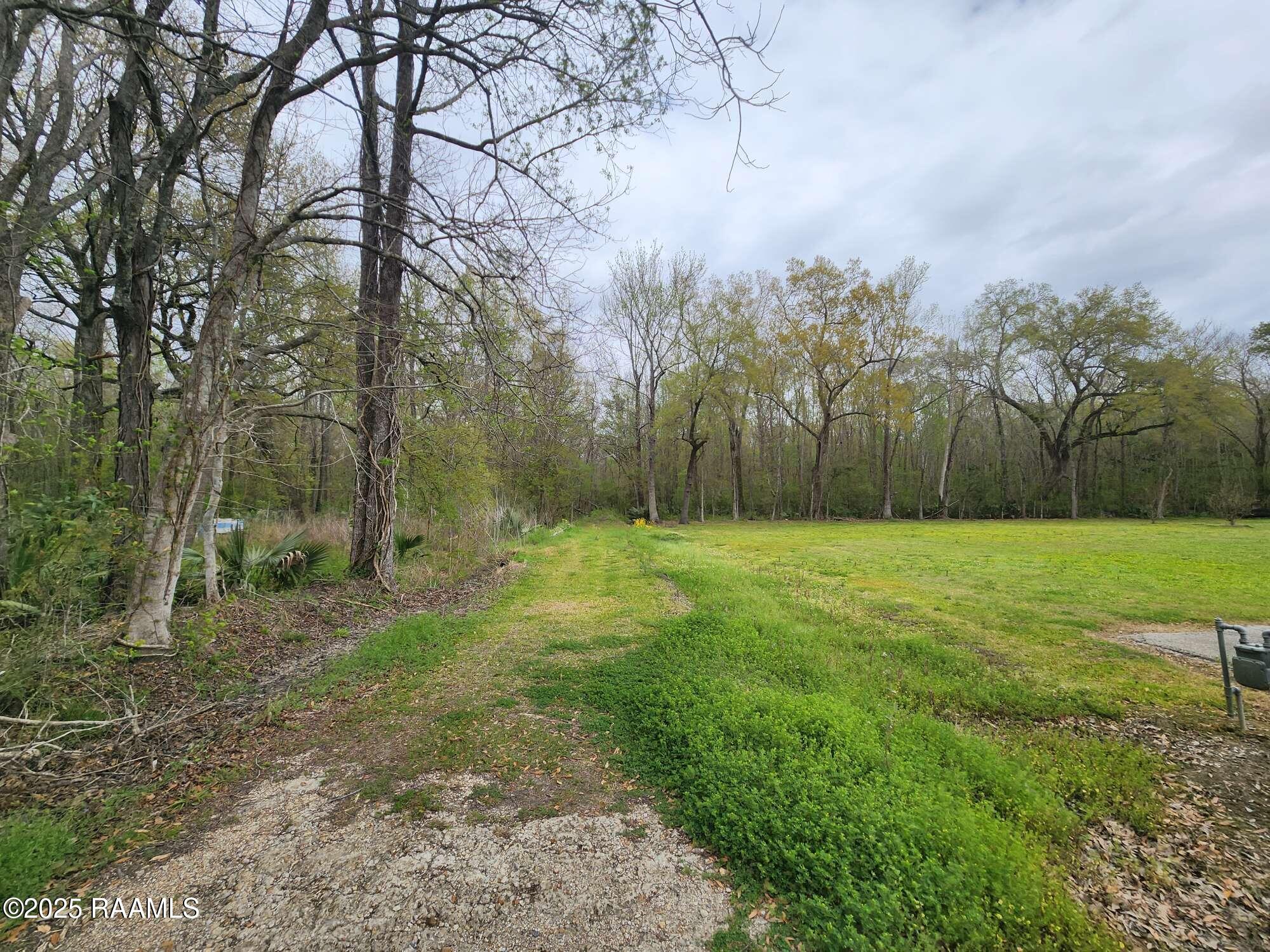 1165 Bayou Portage Road St. Martinville, LA 70582 - Photo 13 of 14 Compress_20250323_091223_3460