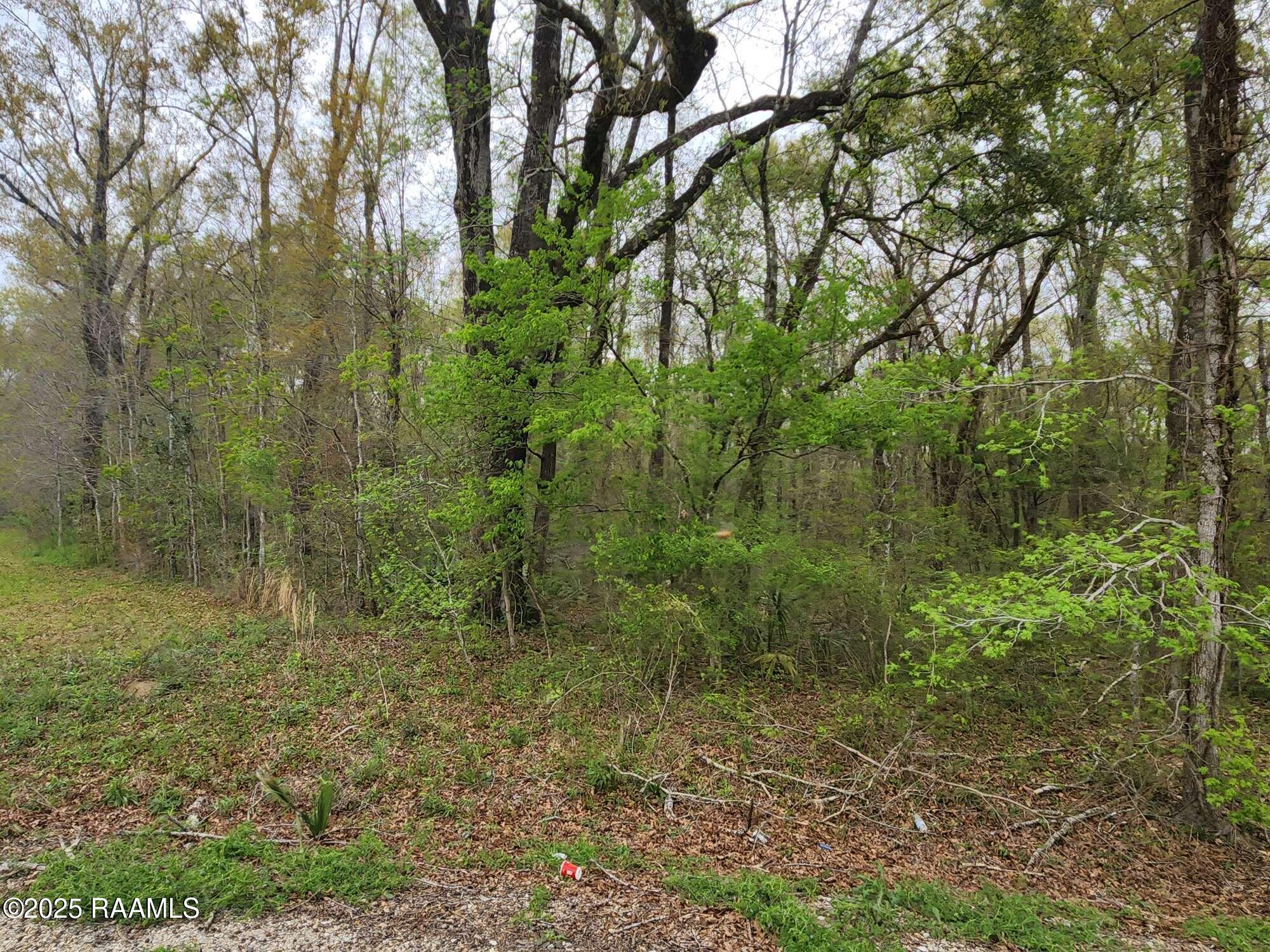 1165 Bayou Portage Road St. Martinville, LA 70582 - Photo 2 of 14 Compress_20250323_091220_0878