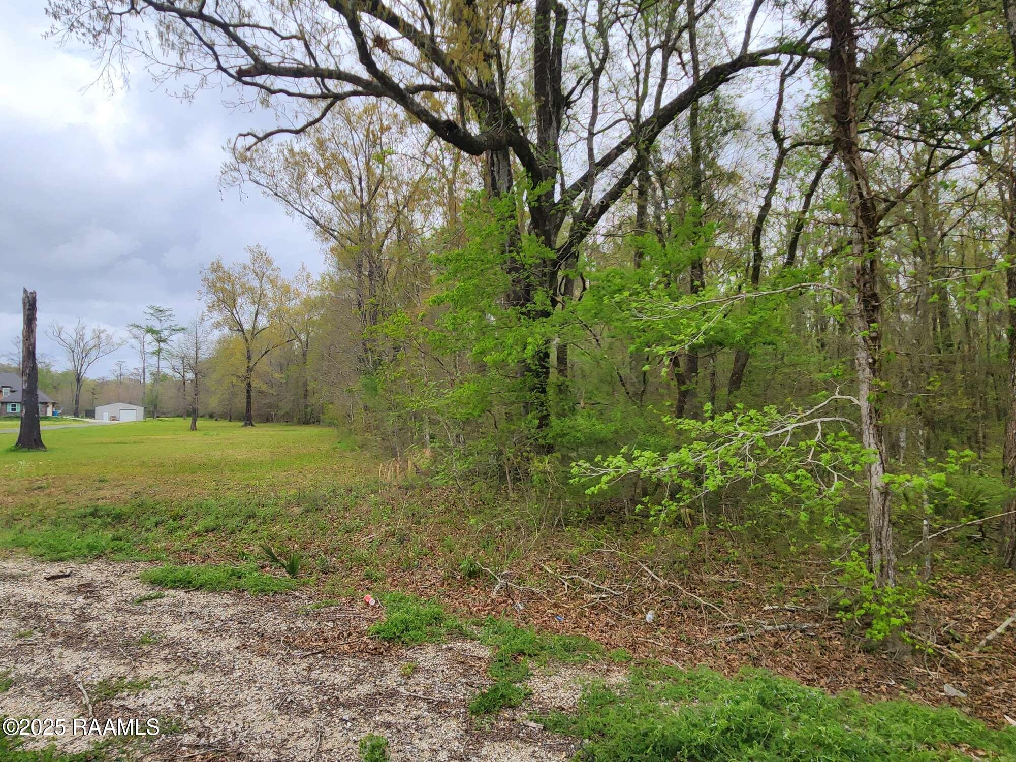 1165 Bayou Portage Road St. Martinville, LA 70582 - Photo 3 of 14 Compress_20250323_091221_1078