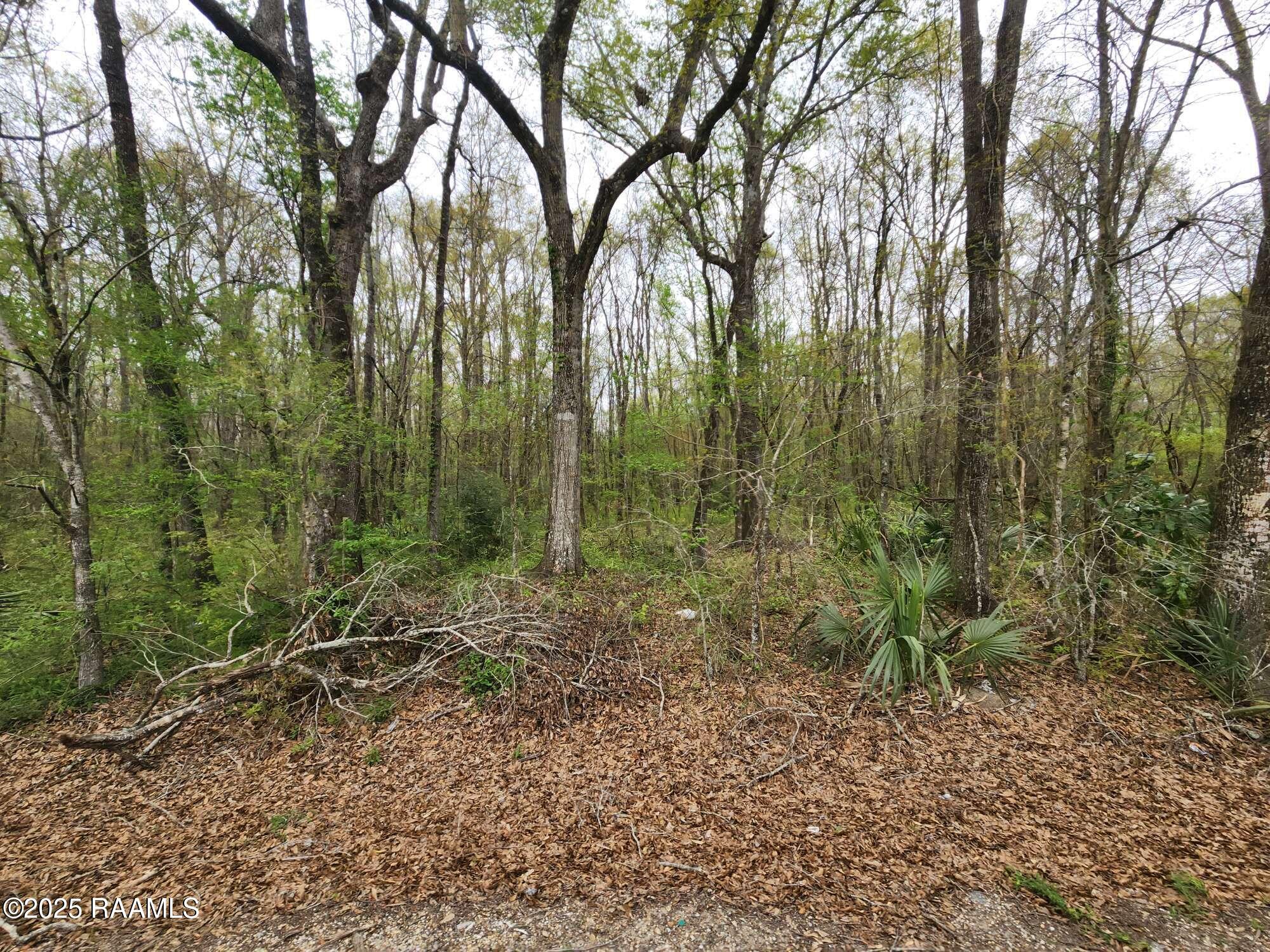 1165 Bayou Portage Road St. Martinville, LA 70582 - Photo 4 of 14 Compress_20250323_091221_1325