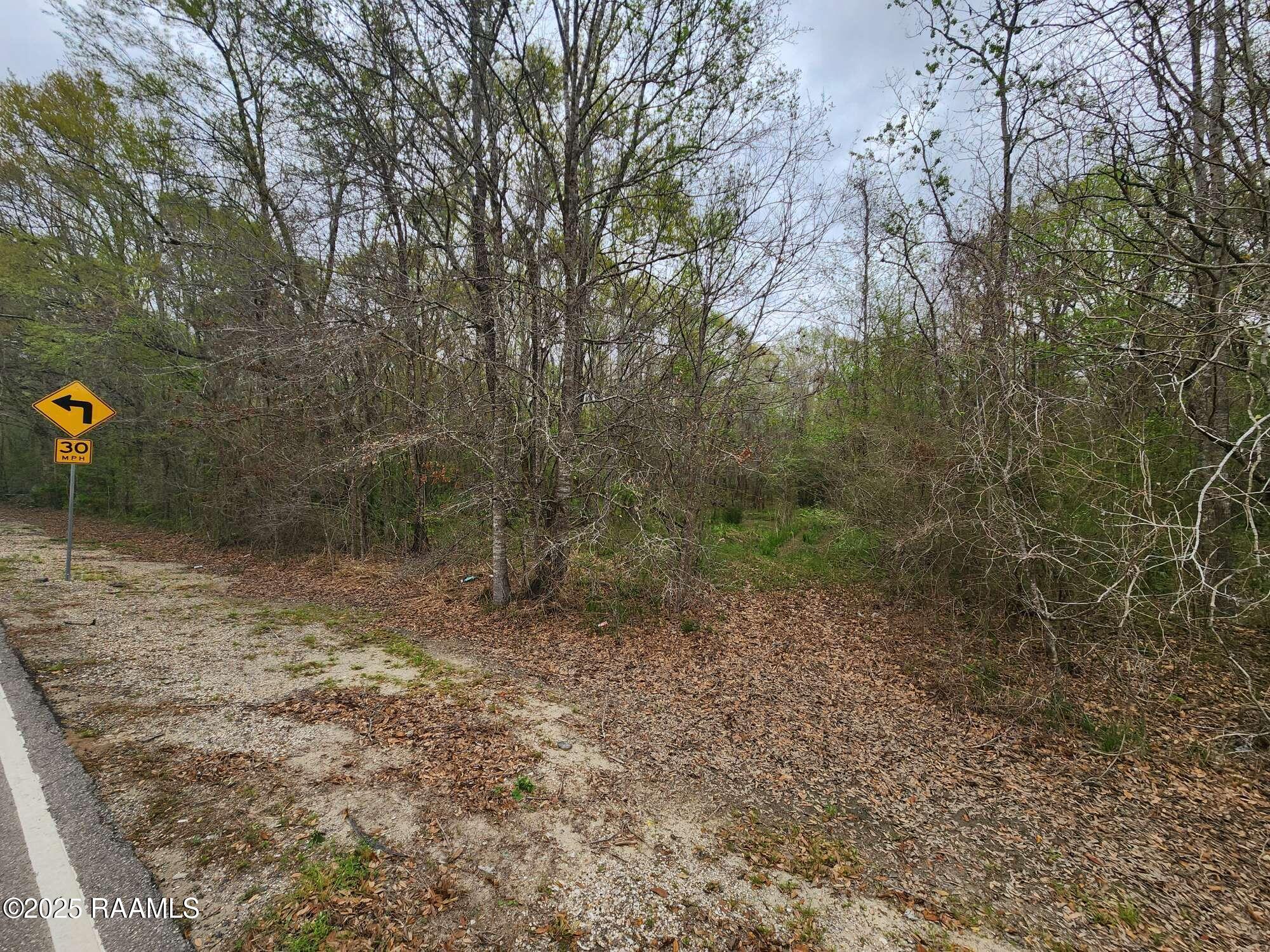 1165 Bayou Portage Road St. Martinville, LA 70582 - Photo 5 of 14 Compress_20250323_091221_1594