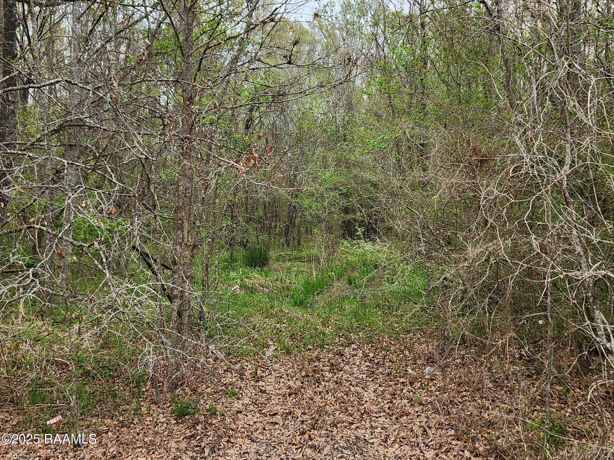 1165 Bayou Portage Road St. Martinville, LA 70582 - Photo 6 of 14 Compress_20250323_091221_1831