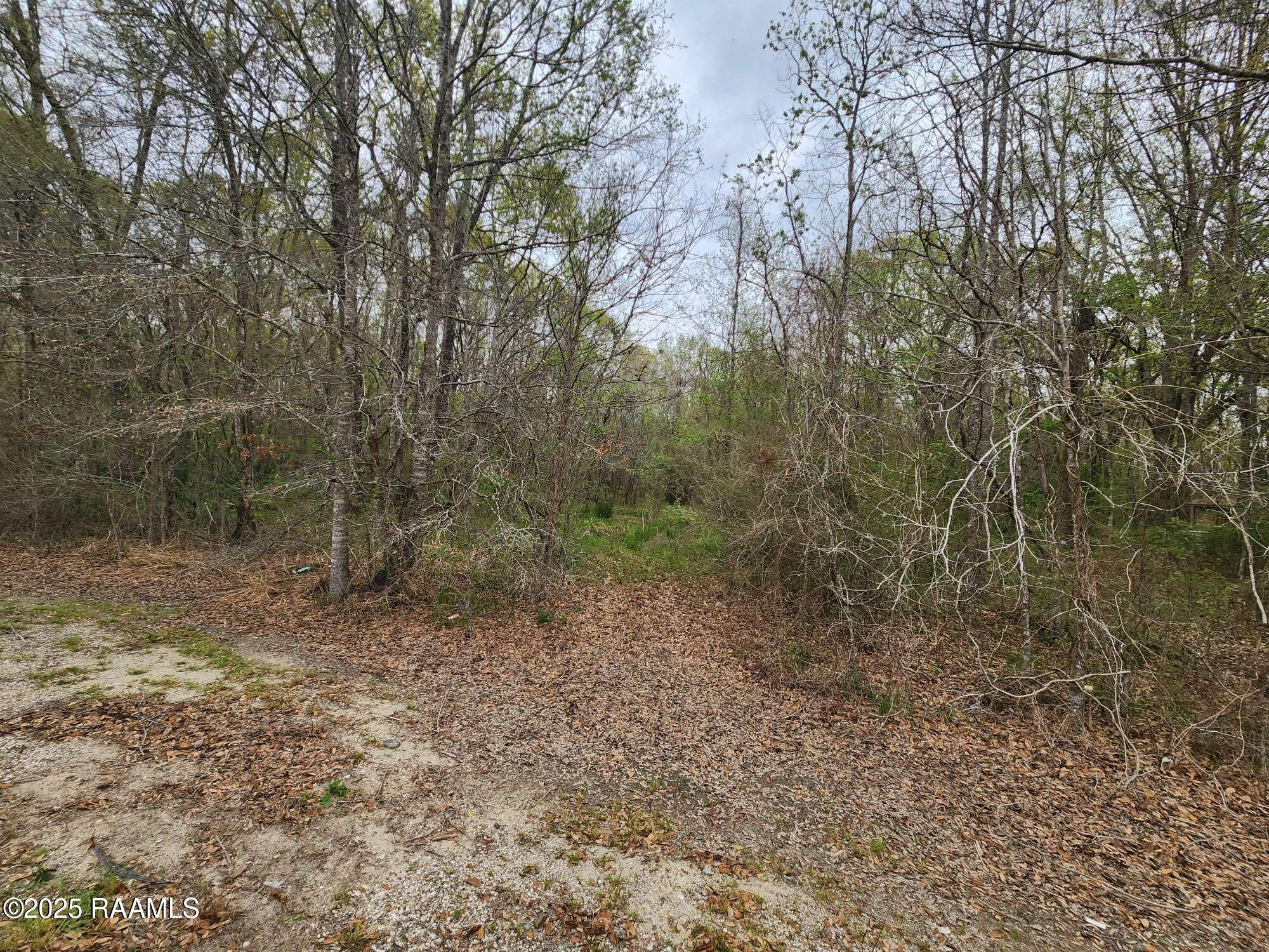 1165 Bayou Portage Road St. Martinville, LA 70582 - Photo 8 of 14 Compress_20250323_091222_2344