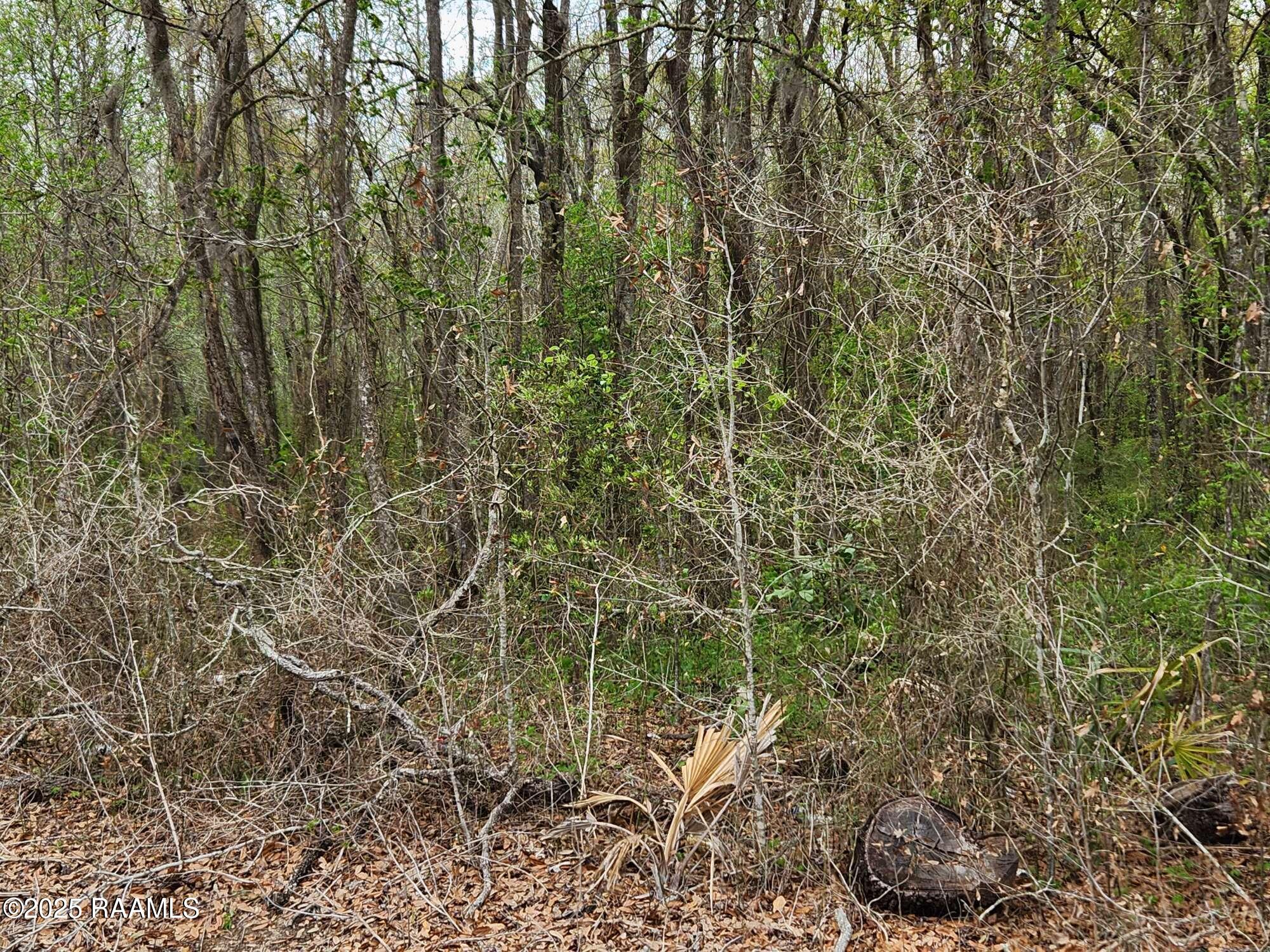 1165 Bayou Portage Road St. Martinville, LA 70582 - Photo 9 of 14 Compress_20250323_091222_2551