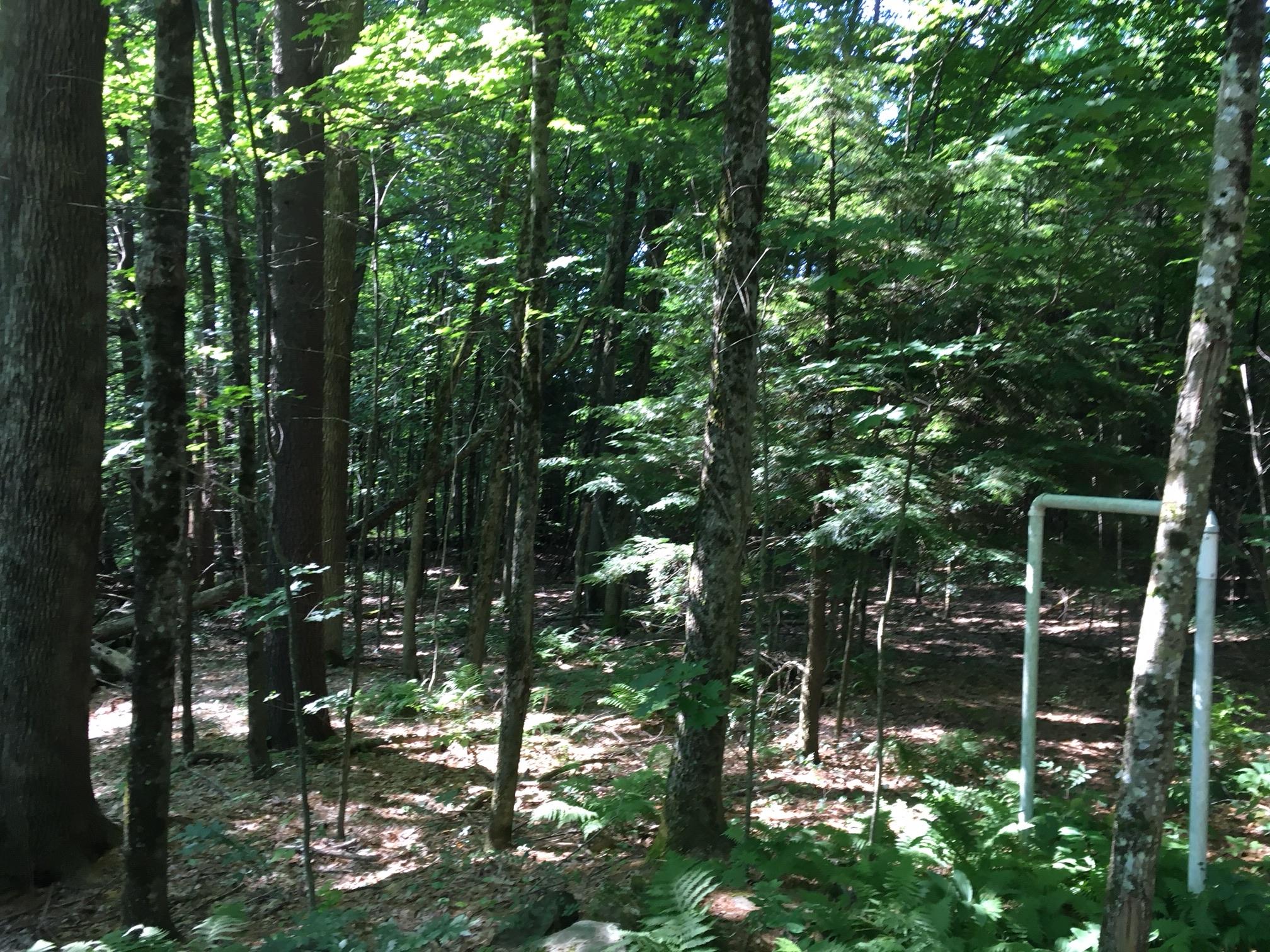 3-acres West Road Waterboro, ME 04087 - Photo 2 of 4 E0ACE0F3-29CB-4B9C-A2BB-A5F5AFA590C3