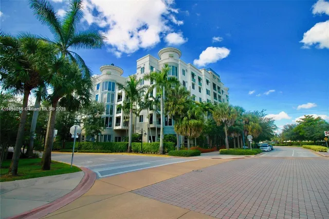 a view of a yard with plants and trees